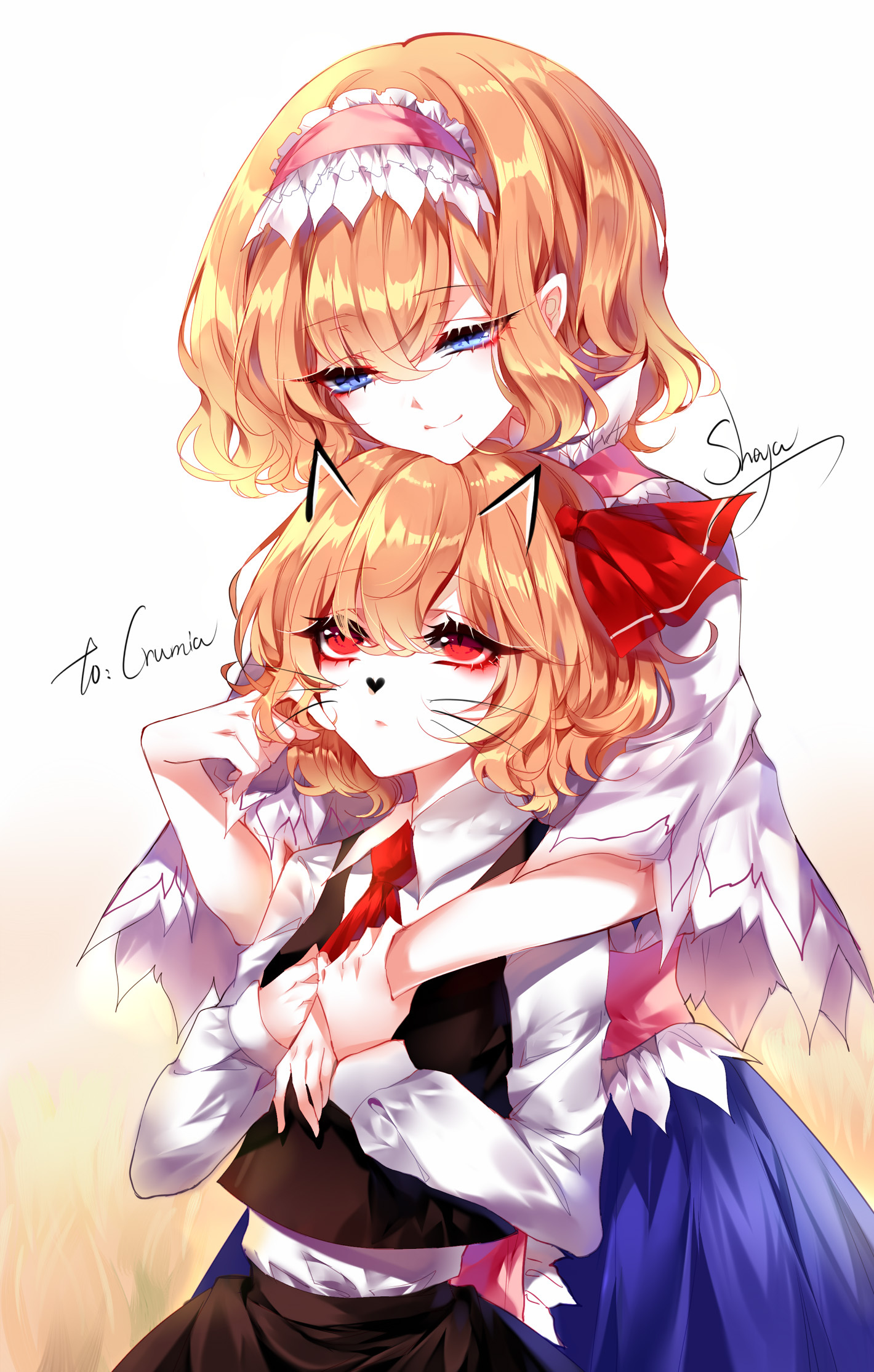 __alice_margatroid_and_rumia_touhou_drawn_by_sheya__912884d92578821b7ef59941924be453