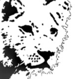 Lionexavatar_180x180