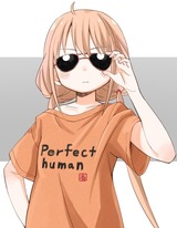 Perfect_human