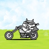 Biker_cat%20small