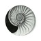 Ammonite-drawing-18