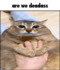 Caption-1