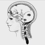 3b0636b3ec02100d495ced63900a203e