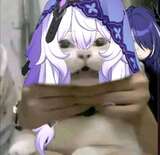 Acheron-and-black-swan-in-a-nutshell-v0-um71il3e1bpc1