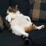 Photo_2023-04-12_17-59-16